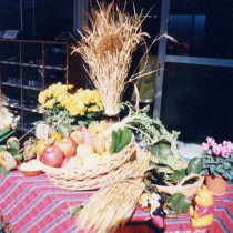 <p class="has-text-align-center" style="font-size:17px"><strong>
収穫感謝祭
</strong></p>