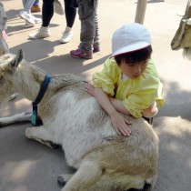 <p class="has-text-align-center" style="font-size:17px"><strong>春の遠足</strong></p>