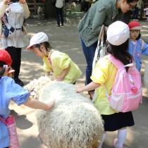 <p class="has-text-align-center" style="font-size:17px"><strong>春の遠足</strong></p>