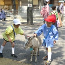 <p class="has-text-align-center" style="font-size:17px"><strong>春の遠足</strong></p>