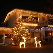 <p class="has-text-align-center" style="font-size:17px"><strong>
クリスマスイルミネーション
</strong></p>