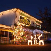 <p class="has-text-align-center" style="font-size:17px"><strong>
クリスマスイルミネーション
</strong></p>